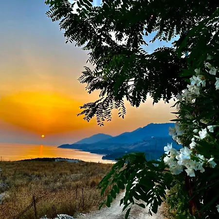 Llaka Himare